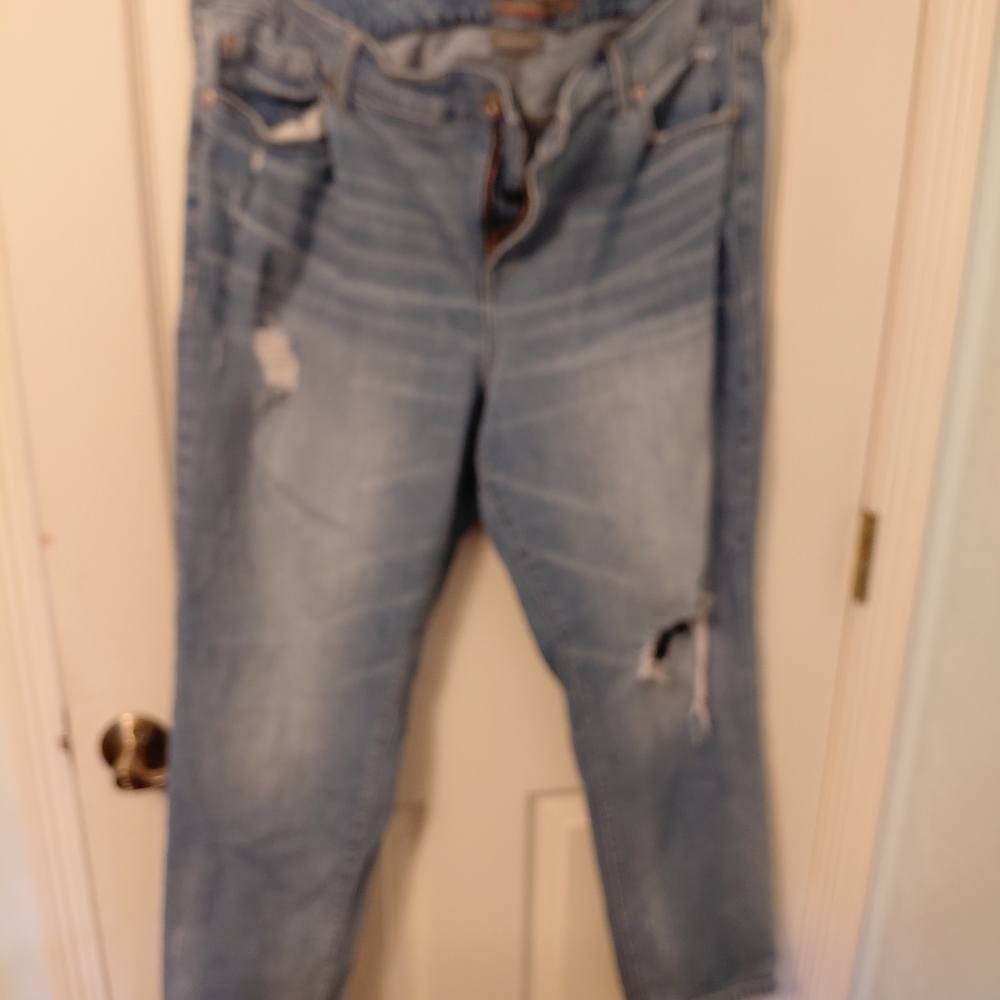 Torrid Light Blue Boyfriend Jeans